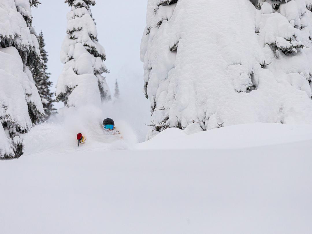 Mike Wiegele Heli-skiing offers the best skiing in the world